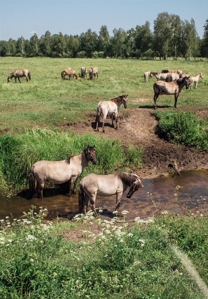 Фотография автора Виктория Трущенко