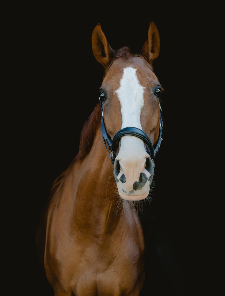 Photograph by Наталья Кузнецова