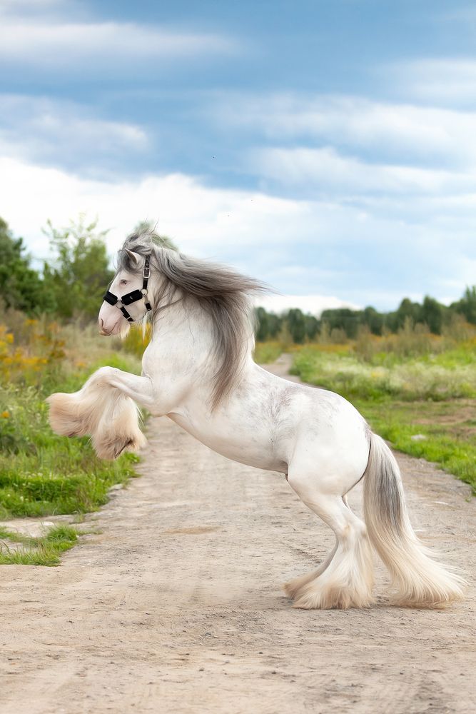 Photograph by Екатерина Сторожук