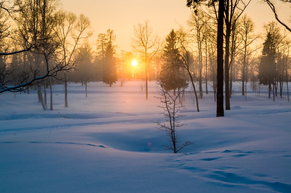 Photograph by Gennadiy Slezkin