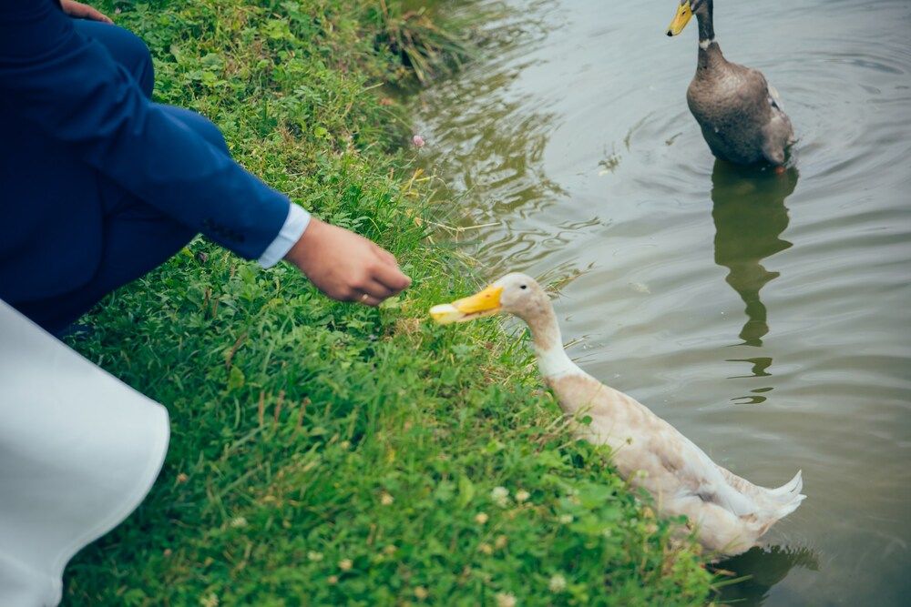 Photograph by Анна Гусева
