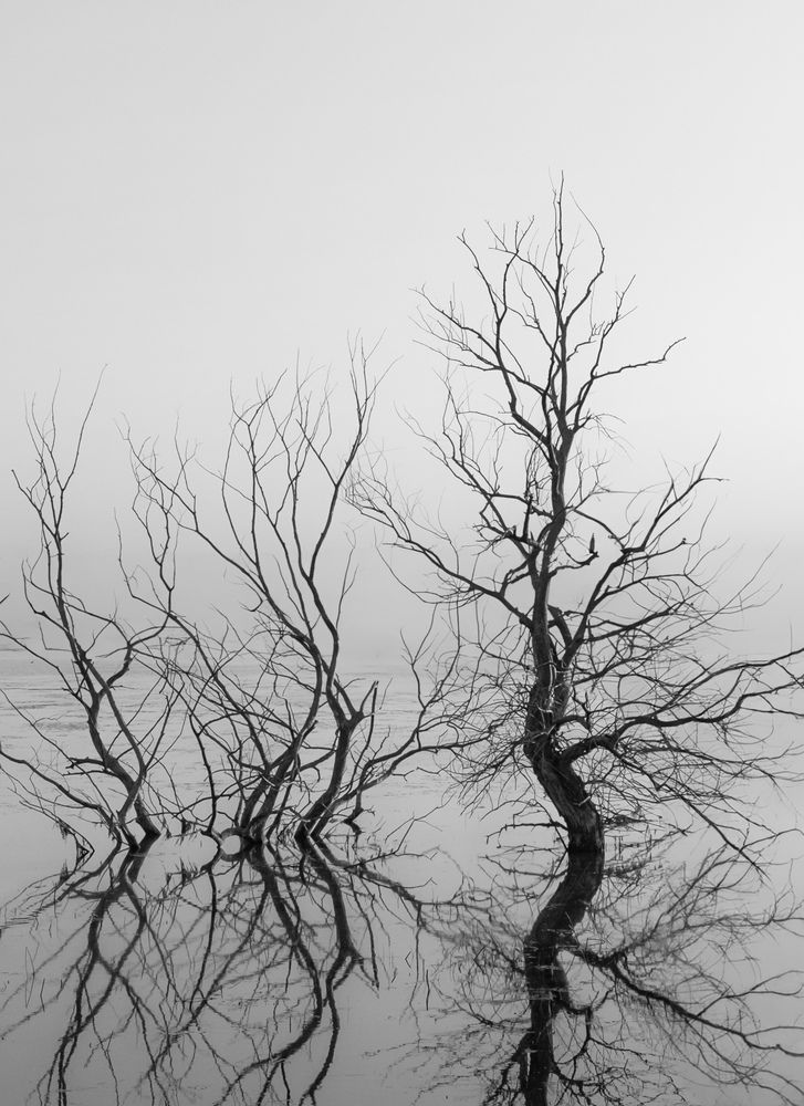 Photograph by Константин Яковлев