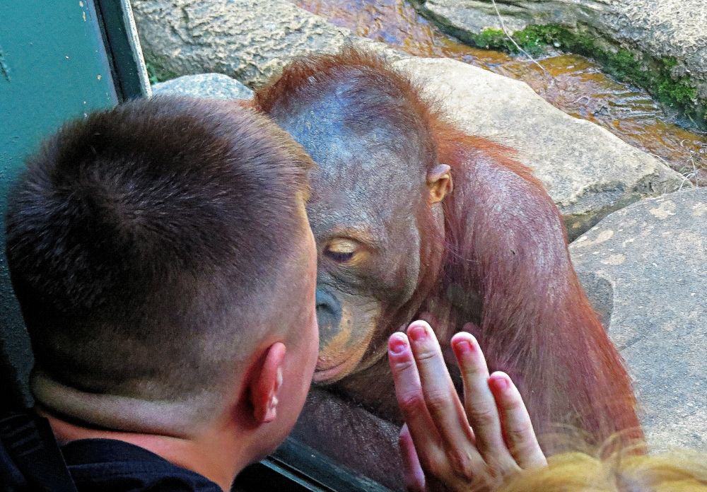 Photograph by Фартушняк Сергей