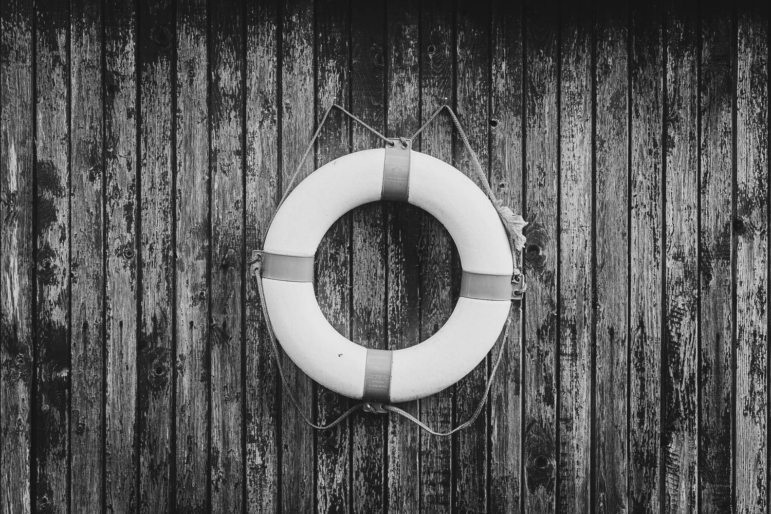 Фотография #13129150