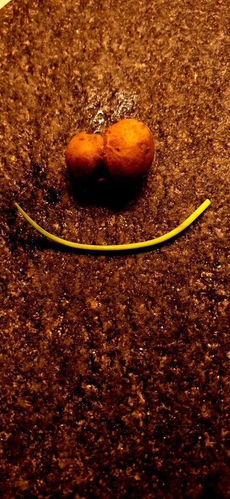 Photograph by Sonia Crotta