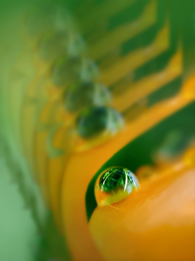 Фотография автора Алёна Пшеленская