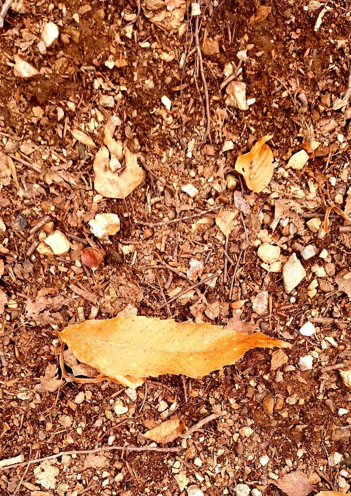 Photograph by Sonia Crotta