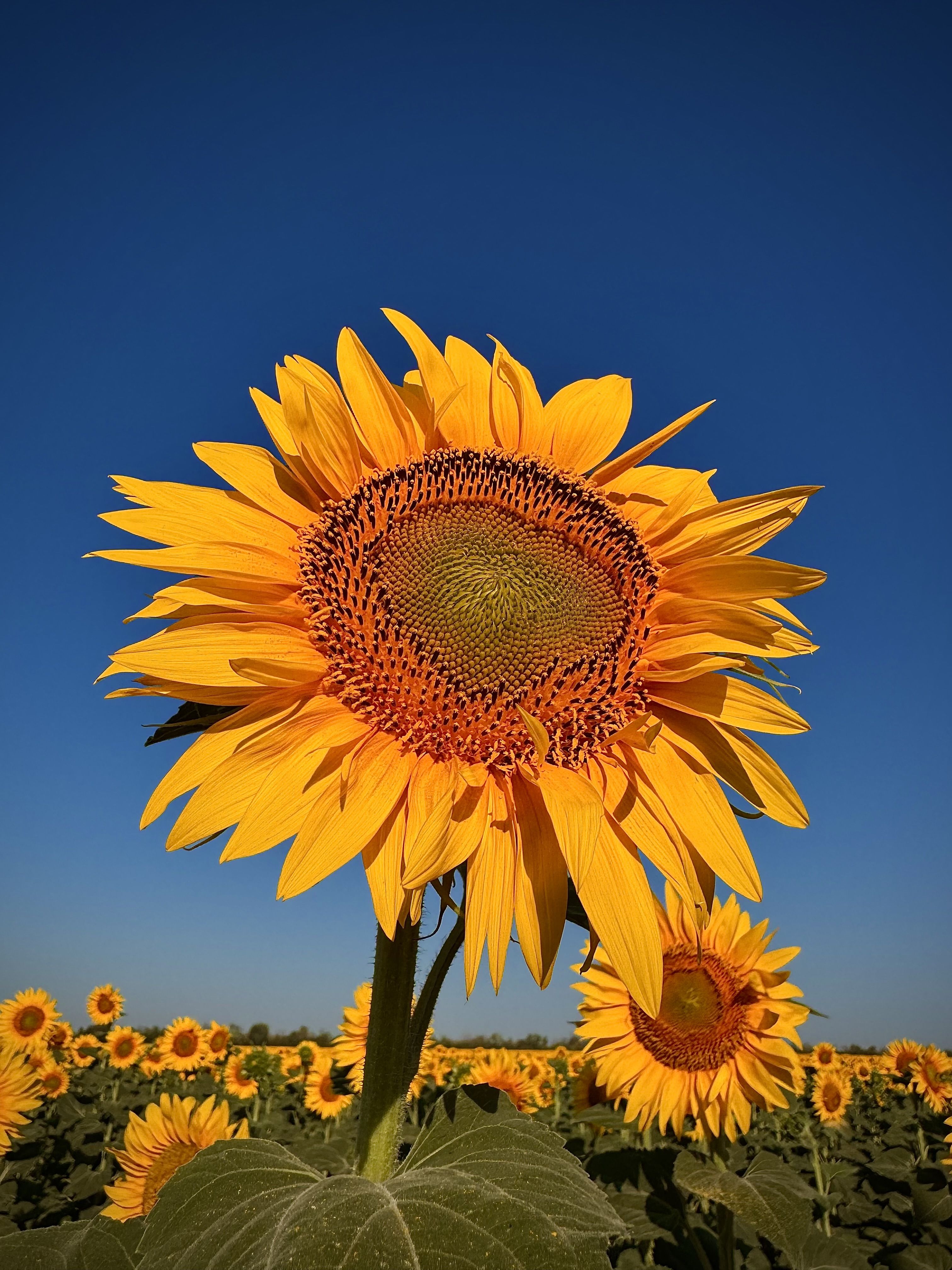 Photograph by Alekseev Andrey
