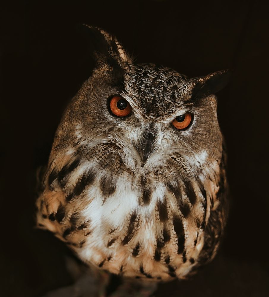 Photograph by Александр Усанов