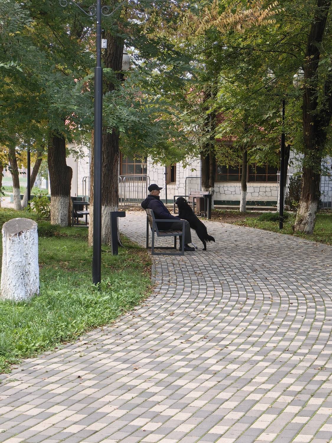 Фотография #13129227