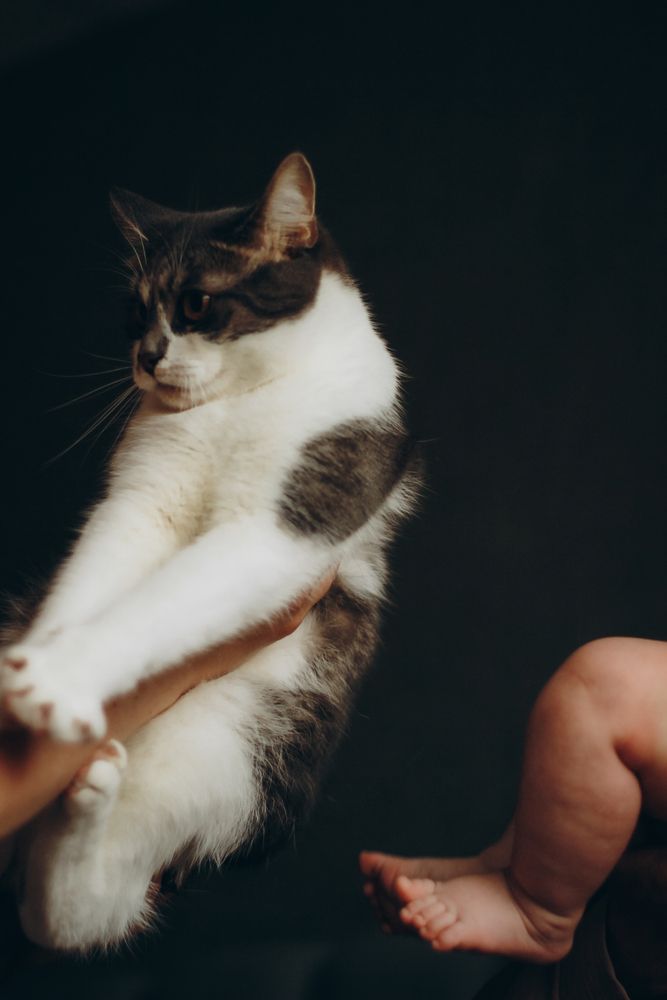 Photograph by Кристина