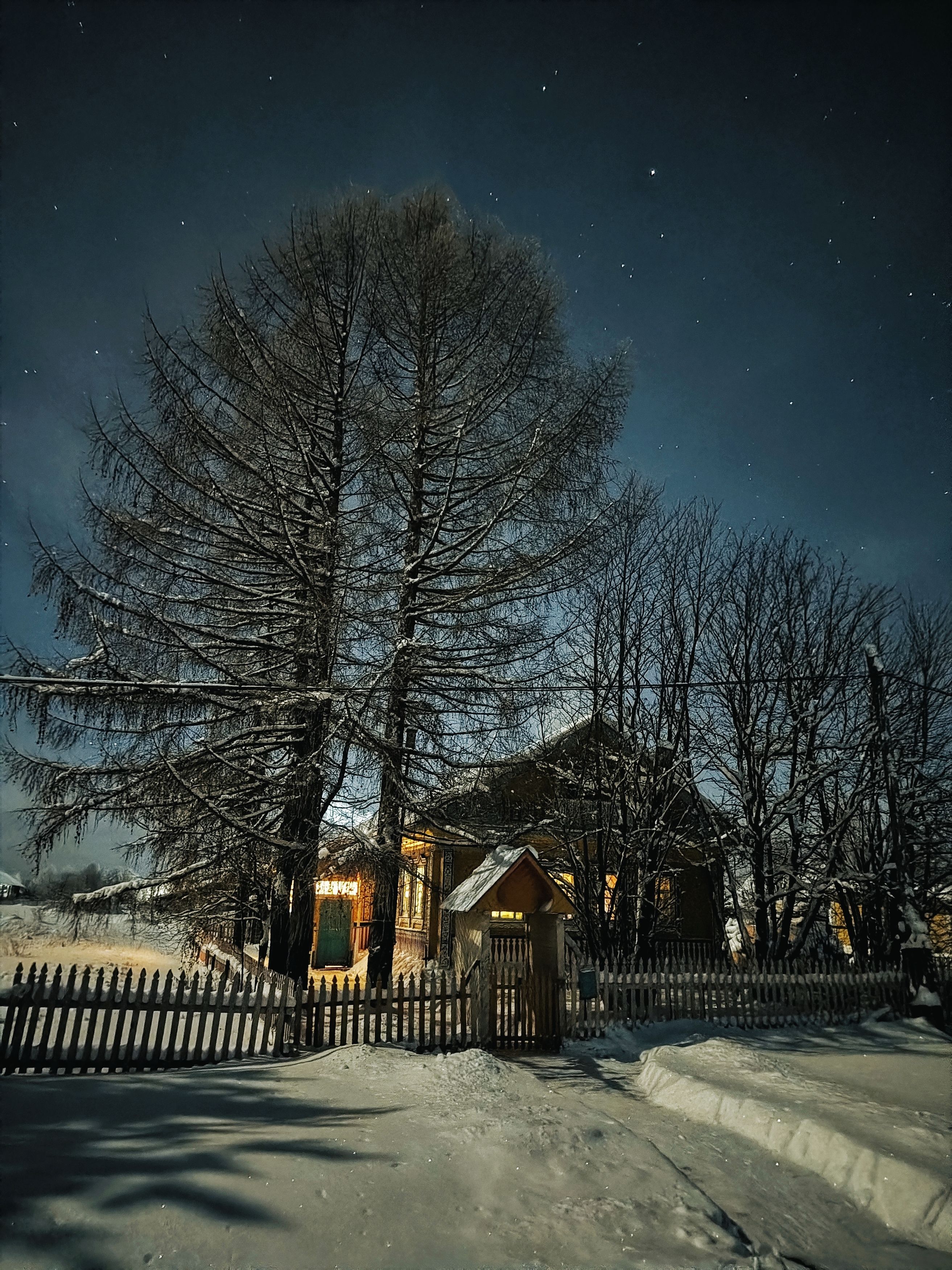 Photo #13129243