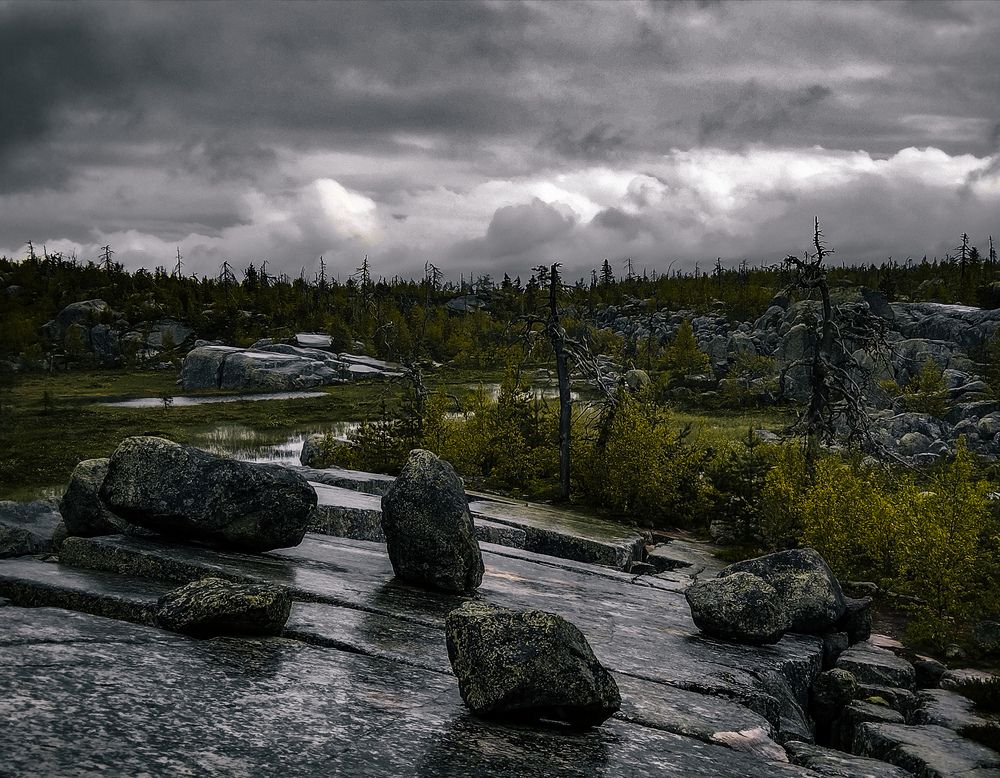 Photo #13129244