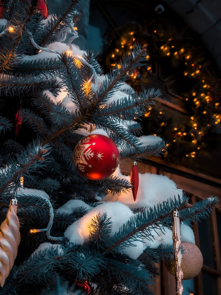 Photograph by Константин Шипицын