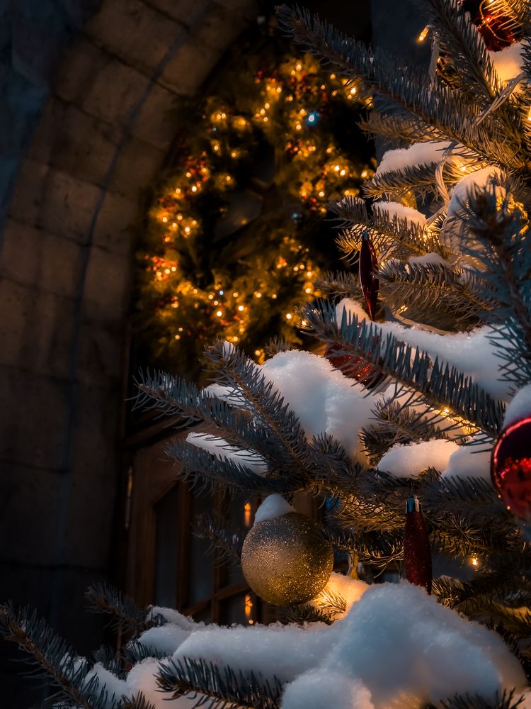 Photograph by Константин Шипицын