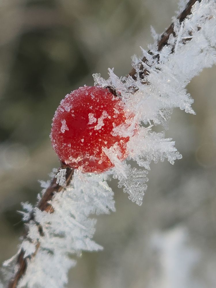 Photograph by Ирина Хлебникова
