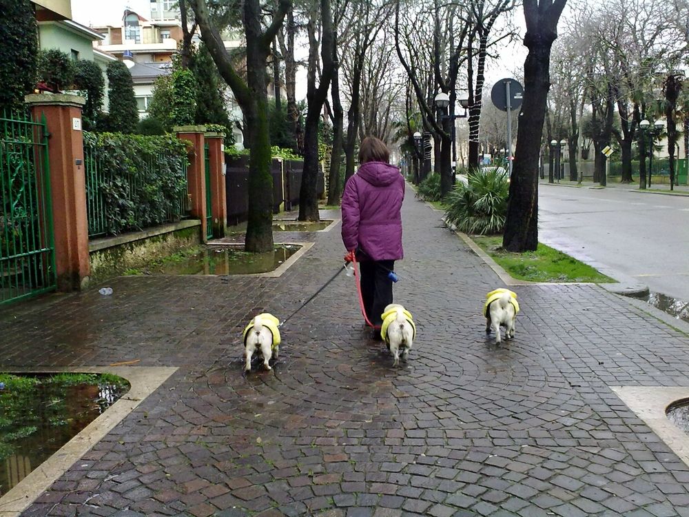 Photograph by Александра Ельникова