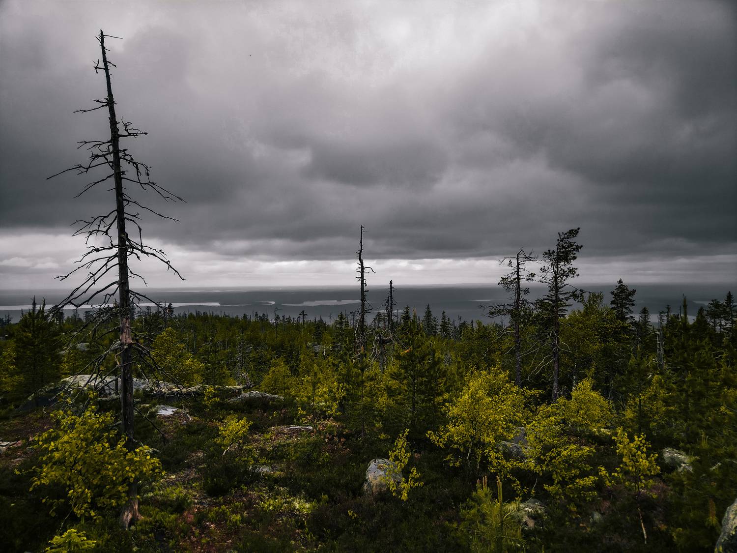 Photo #13129264