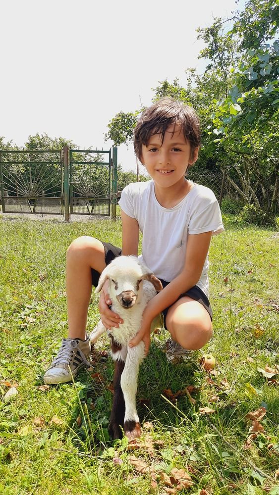 Photograph by Александра Ельникова