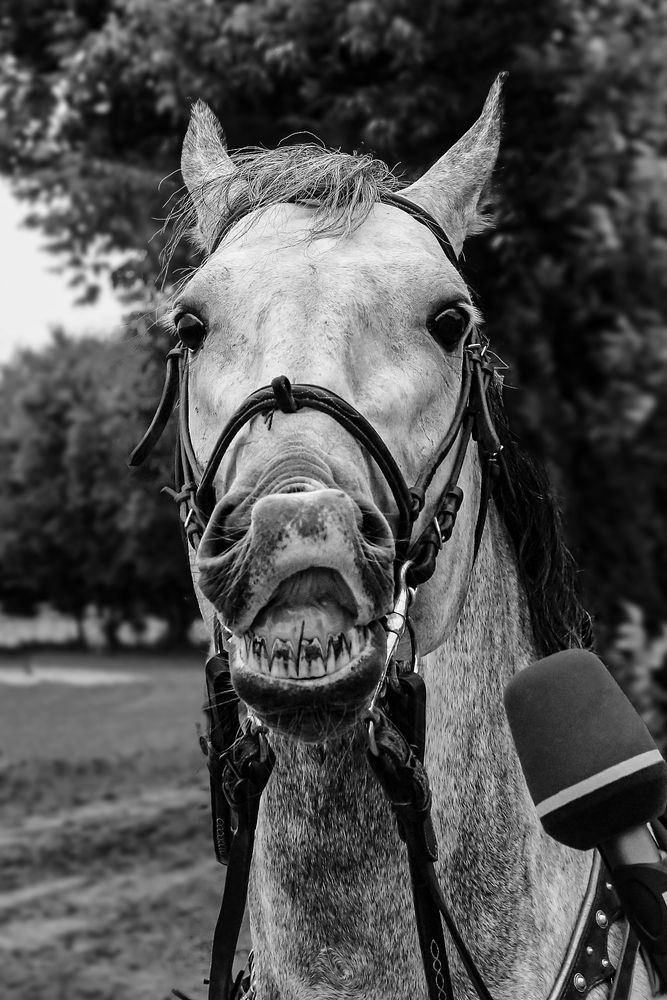 Photograph by Sergey Firsov