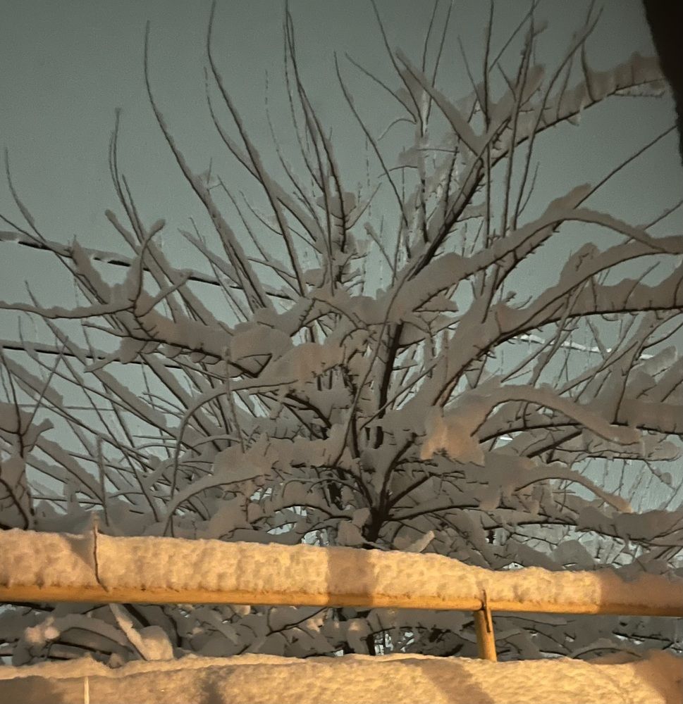 Photograph by Erika Osipova
