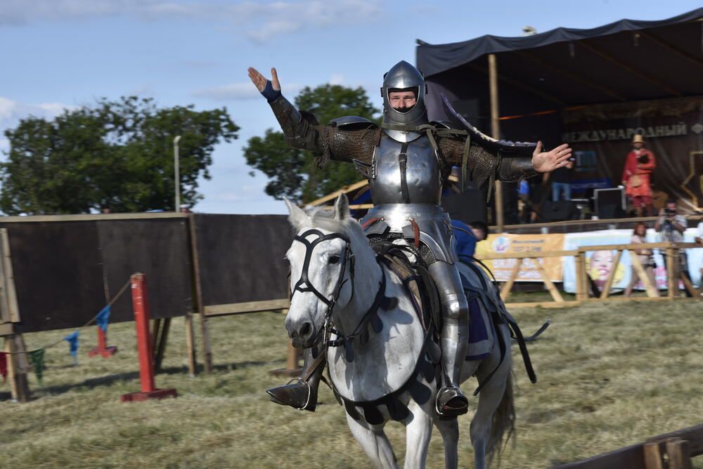 \"Лучший друг рыцаря!\"