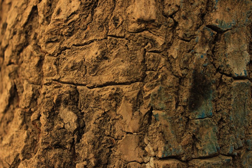 Texture