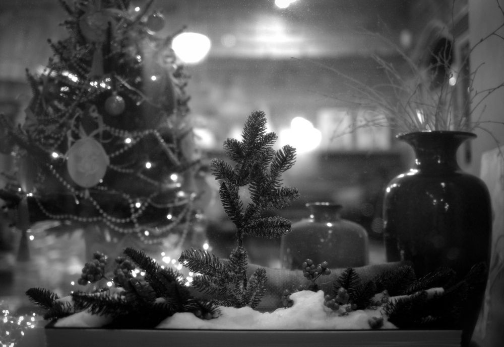 Photograph by Елена Барышева