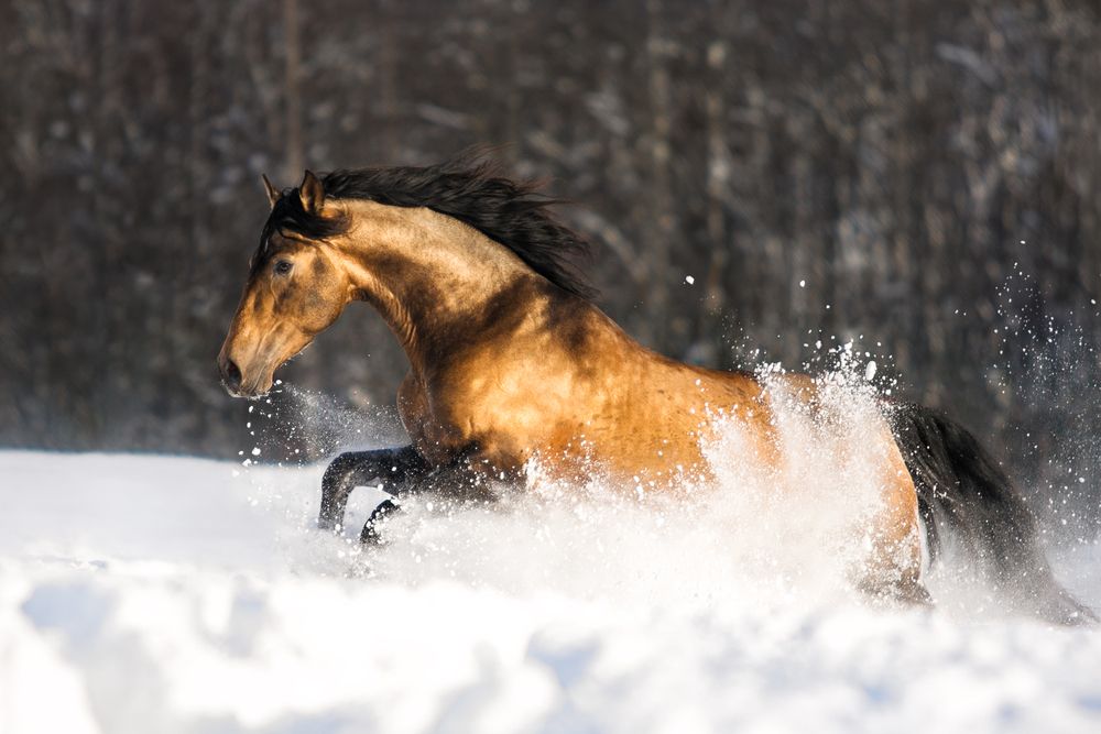 Photograph by Екатерина Михайлова