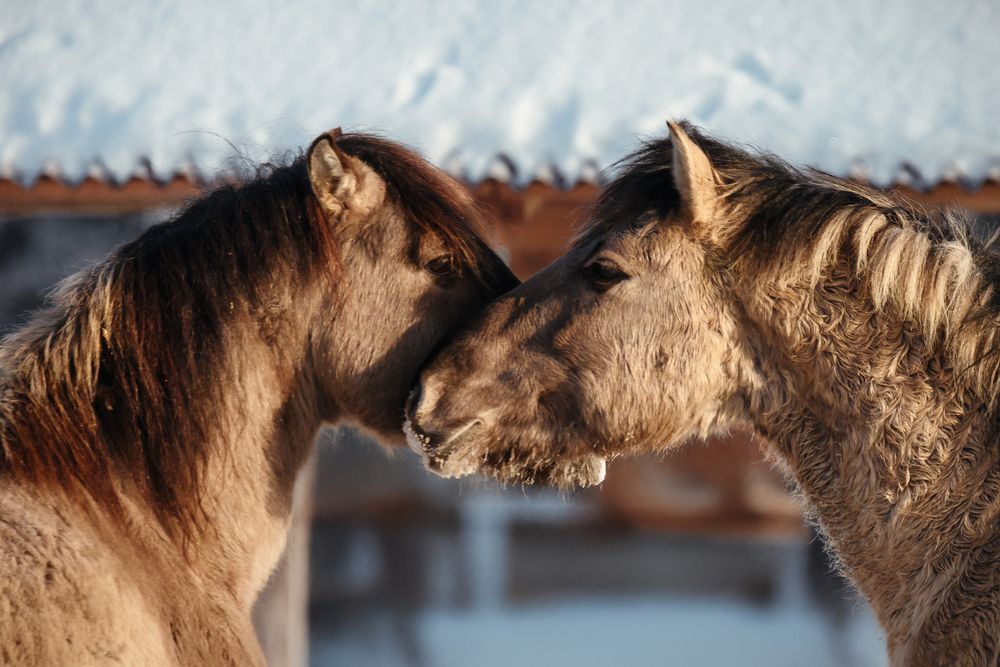 Фотография автора Валерия Трейтяк