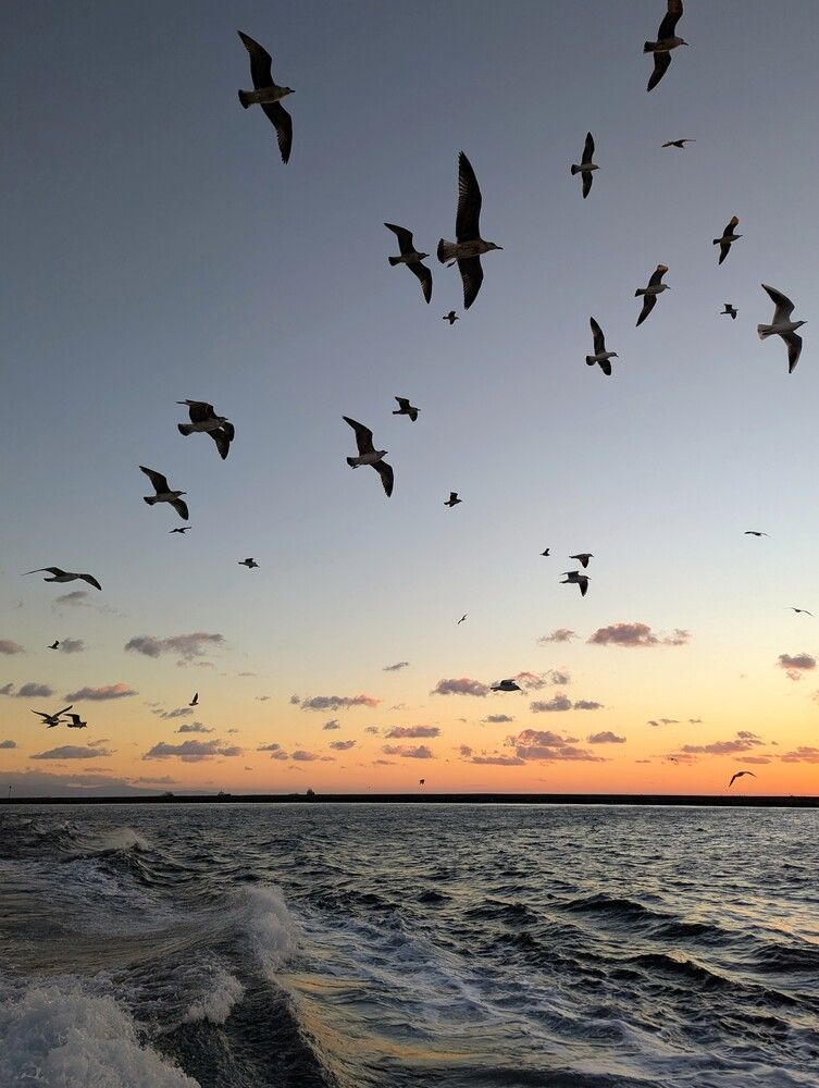 Photograph by Екатерина Абрамова