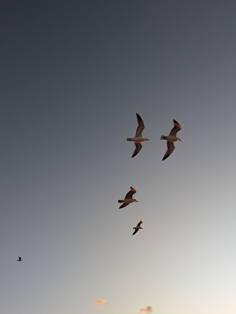 Photograph by Екатерина Абрамова