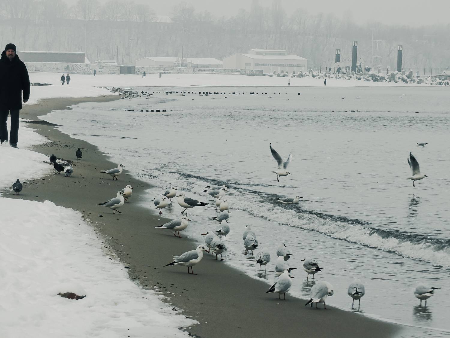 Photo #13129438