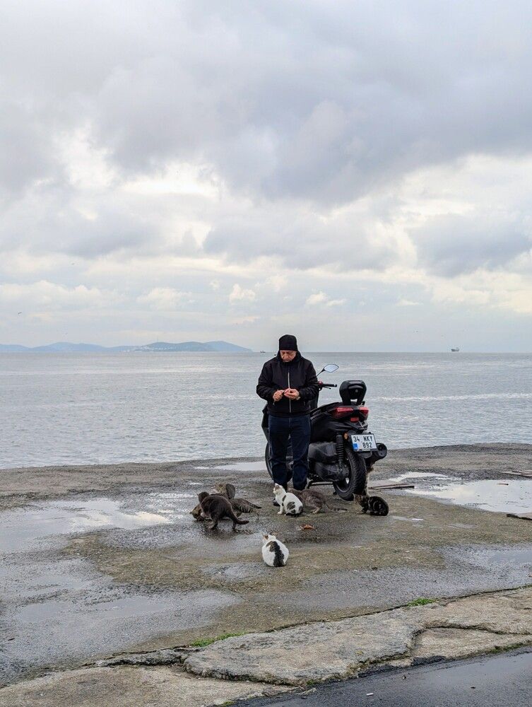 Photograph by Екатерина Абрамова