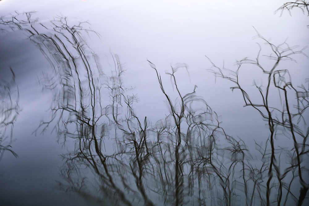 Photograph by Сергей Фадин