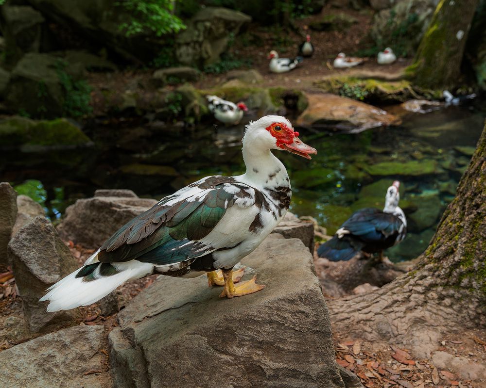 Photograph by Александр Лукьяненко