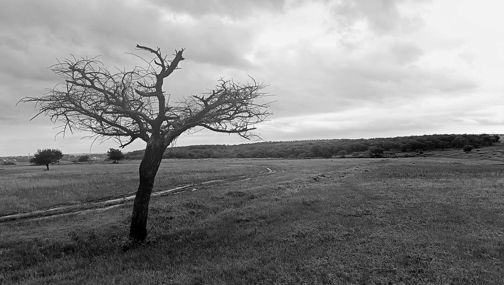 Photograph by Rahul Jagtap