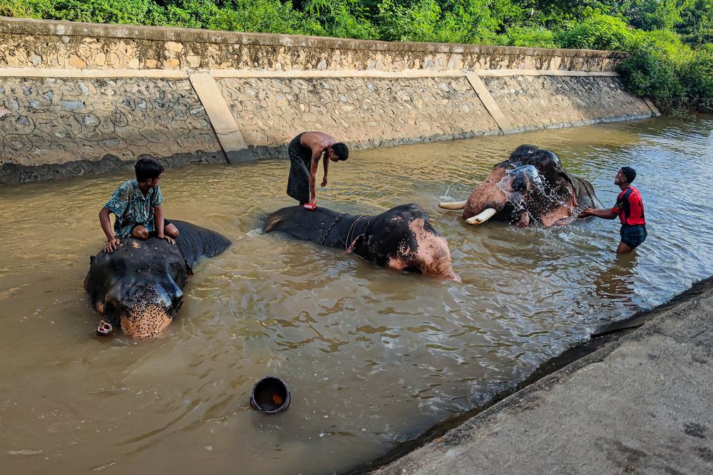 Photograph by Nyi Nyi Thet