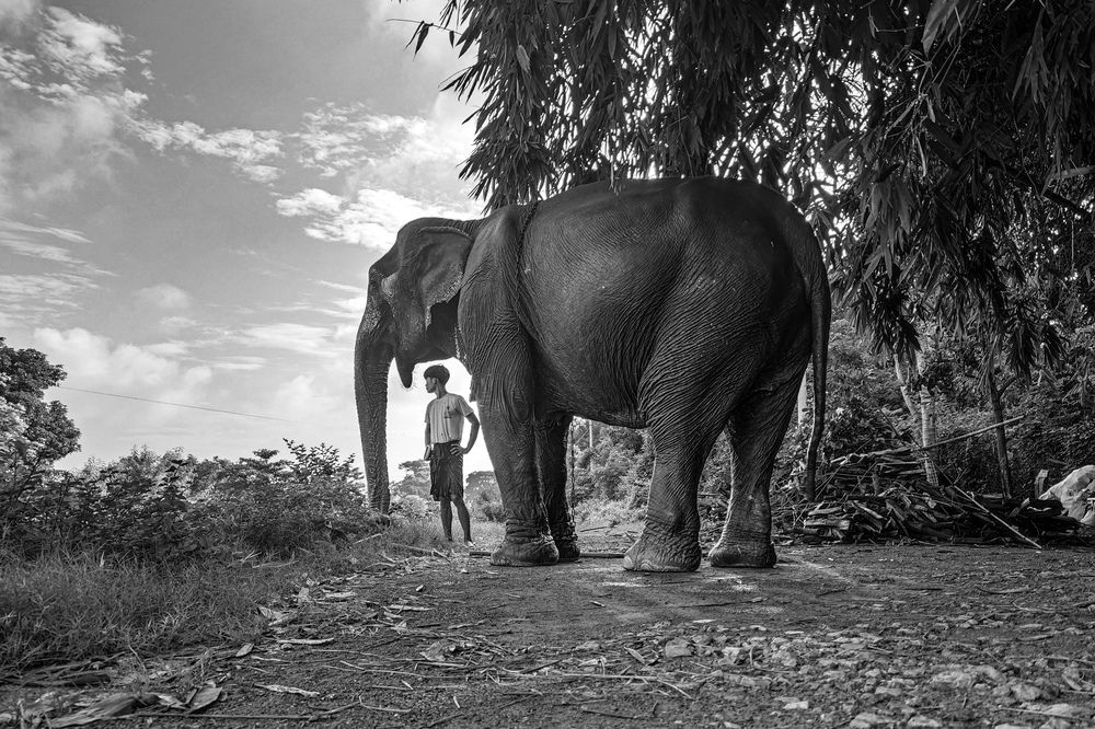 Photograph by Nyi Nyi Thet