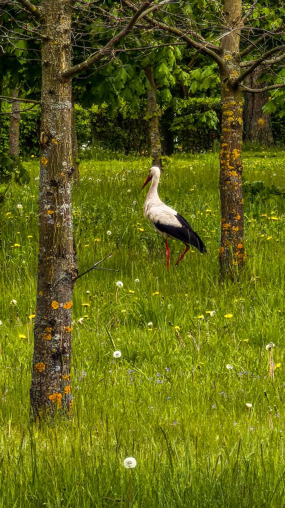 Photograph by Любовь