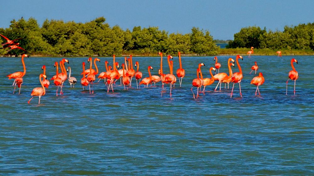Фотография автора николай зайцев