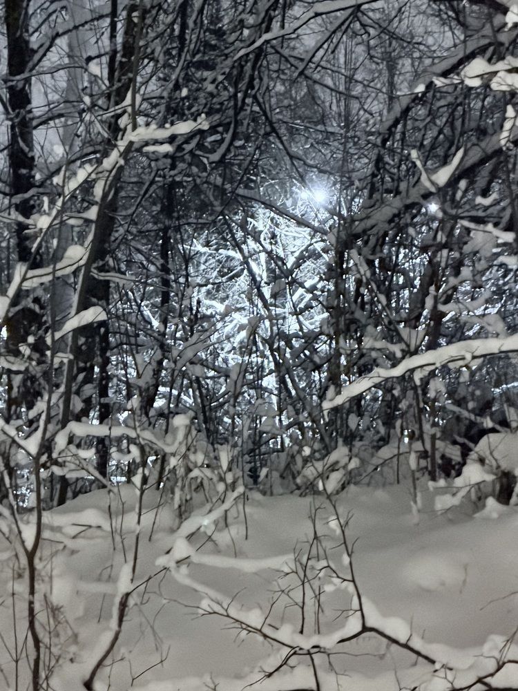 Photograph by Марина Сальникова