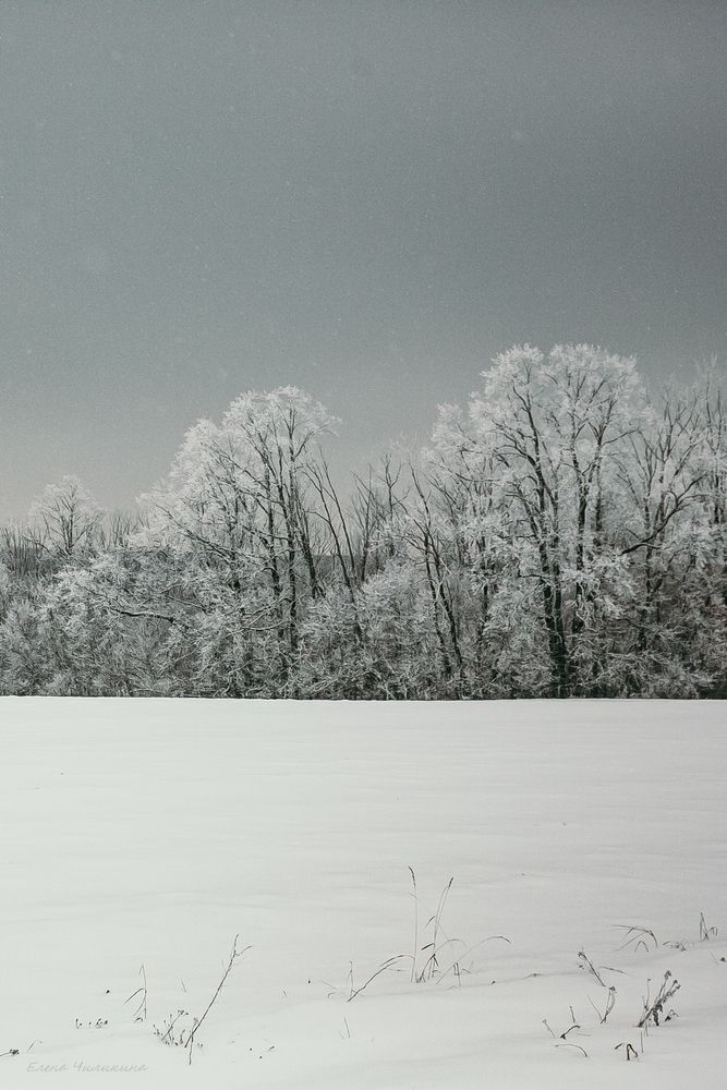 Фотография автора Elena Chilikina