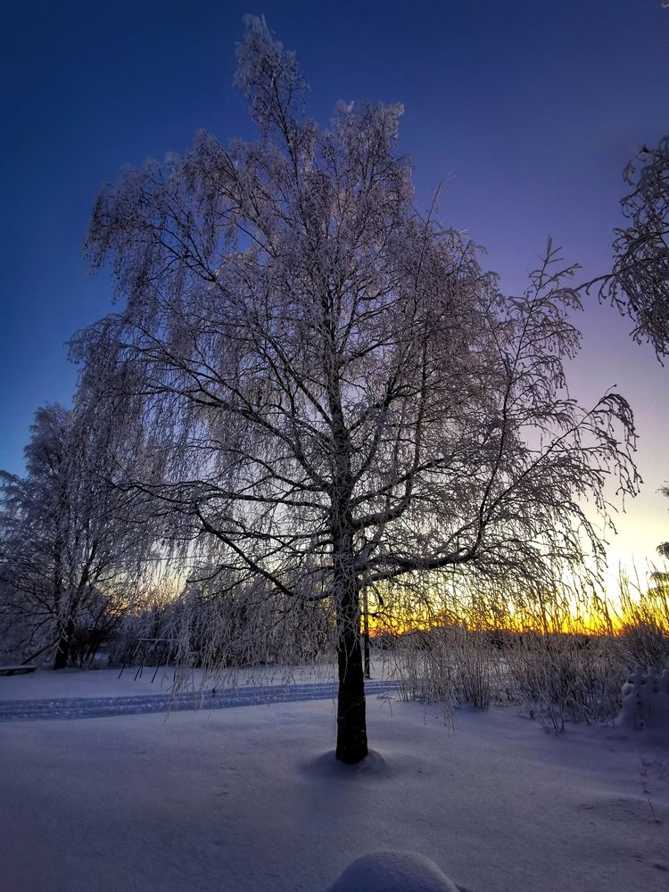 Фотография автора Андрей Шестаков