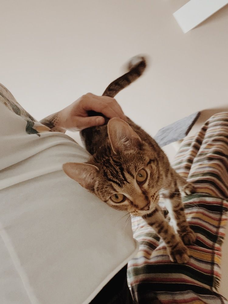 Photograph by Алёна Яцкевич