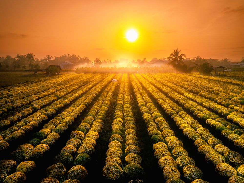 Photograph by Tran Phuong