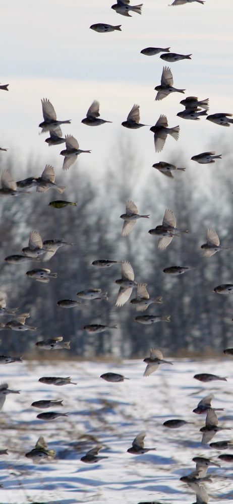 Photograph by Света Троянова