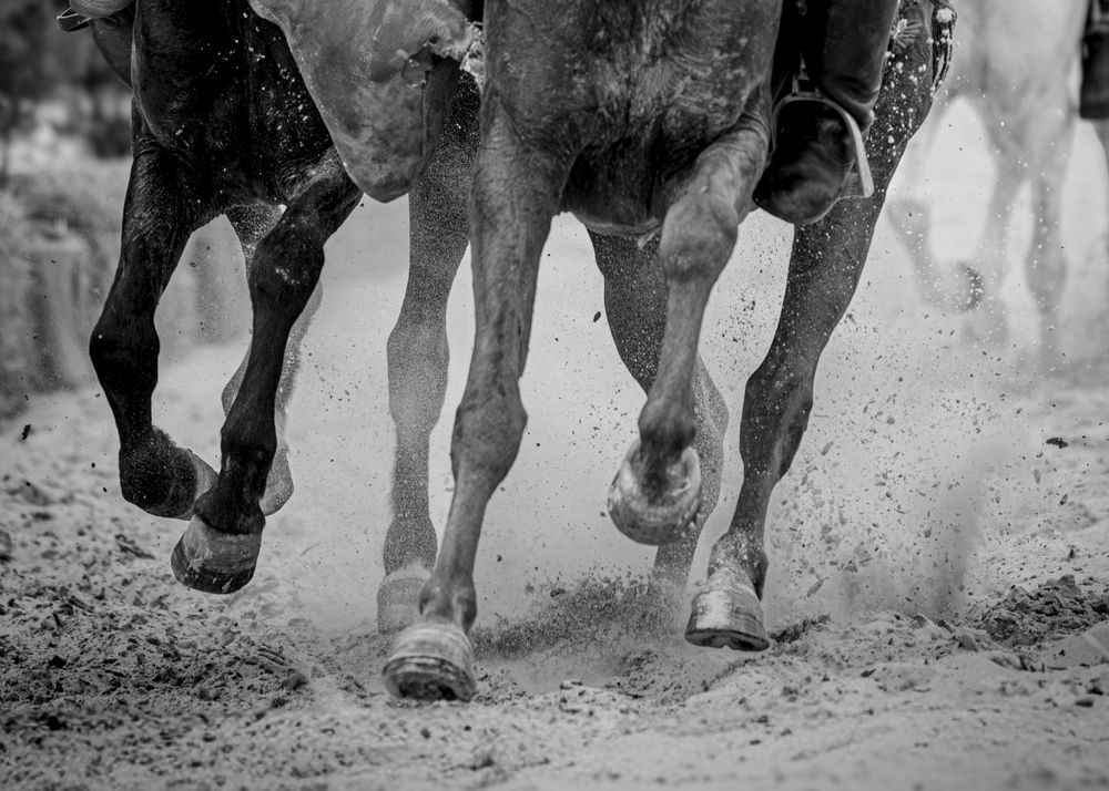 Photograph by Bekir istemi
