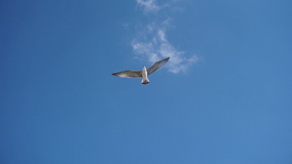 Photograph by Артём Горбань