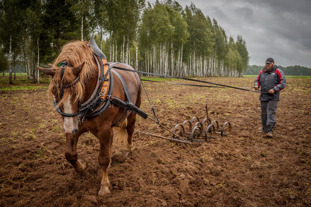 Photograph by Ольга Заповедная